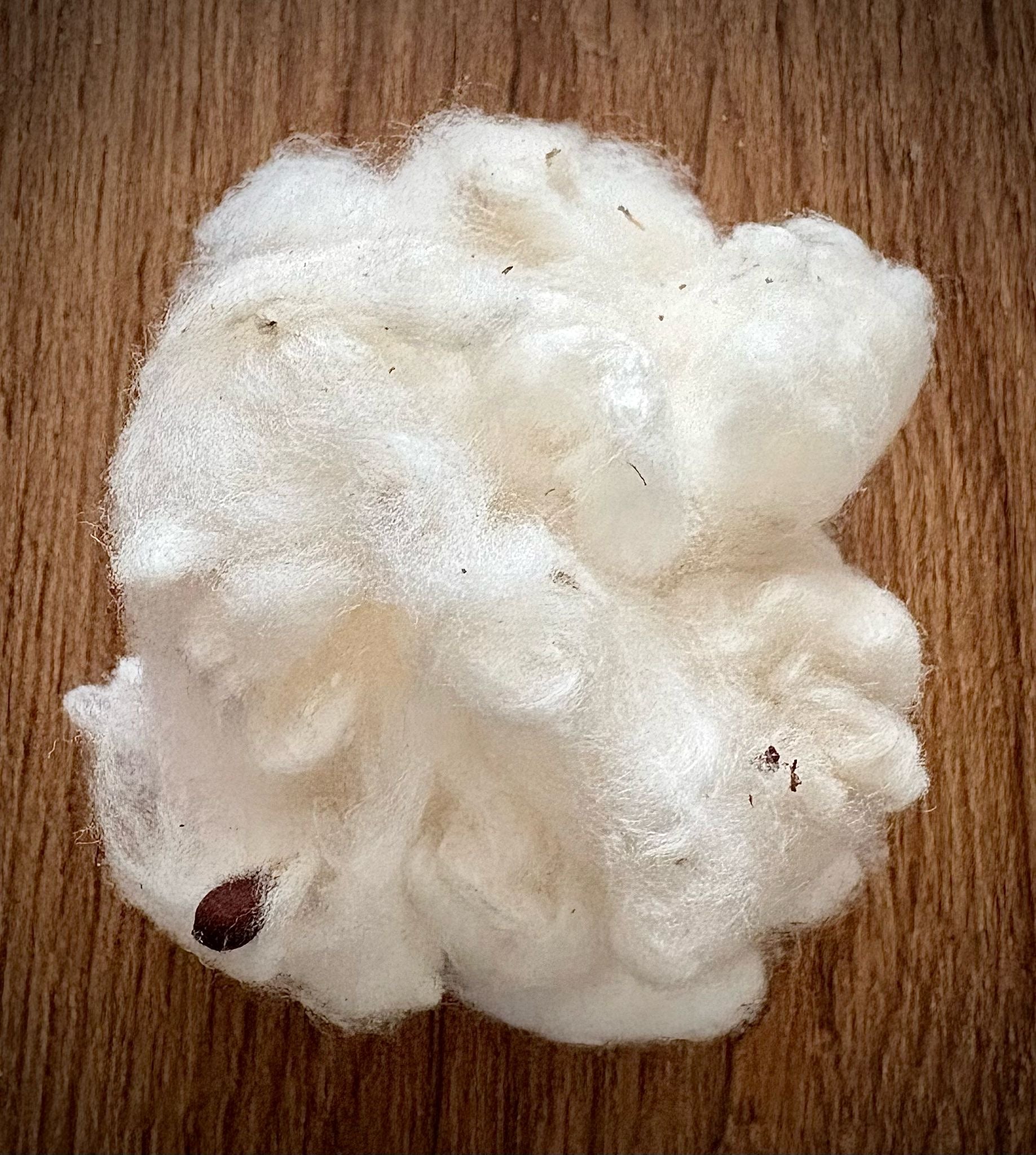 Haitian Cotton ( Koton Peyi)